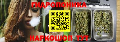 стаф Волжск