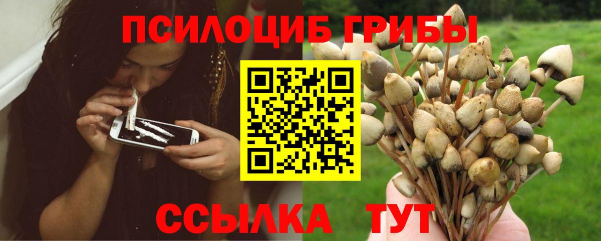 Галлюциногенные грибы Psilocybe  Псилоцибиновые грибы ЛСД  Вход с VPN  Озёры 