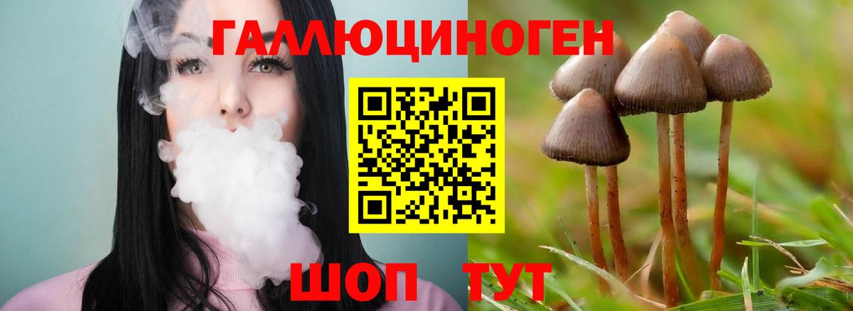 Псилоцибиновые грибы Cubensis Озёры